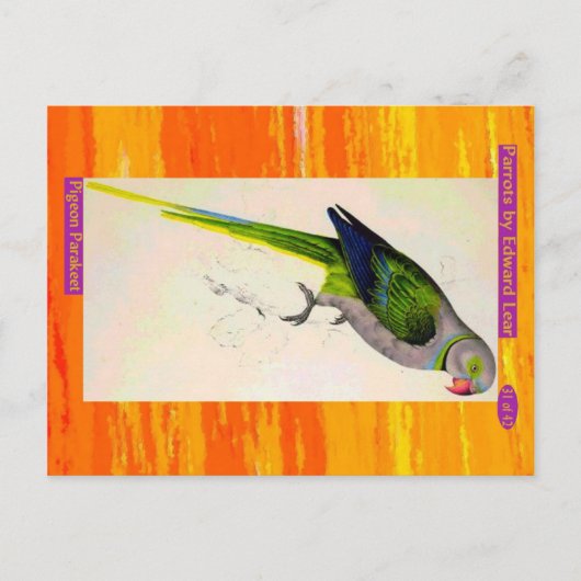 Edward Lear. Taubenparaket. Postkarte (Vorderseite)