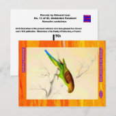 Edward Lear. Ungeduldiger Paraket. Postkarte (Vorne/Hinten)
