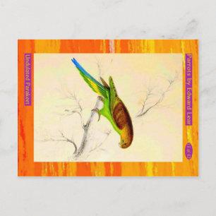 Edward Lear. Ungeduldiger Paraket. Postkarte