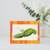 Edward Lear. Uniform Parakeet. Postkarte (Stehend Vorderseite)