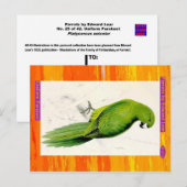Edward Lear. Uniform Parakeet. Postkarte (Vorne/Hinten)