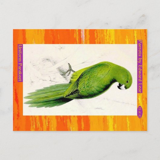 Edward Lear. Uniform Parakeet. Postkarte (Vorderseite)