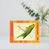 Edward Lear. Zwerg Parakeet Macaw. Postkarte (Stehend Vorderseite)