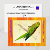 Edward Lear. Zwerg Parakeet Macaw. Postkarte (Vorne/Hinten)