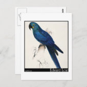 Edward Lears Hyacinth Macaw Postkarte (Vorne/Hinten)