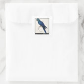 Edward Lears Hyacinth Macaw Quadratischer Aufkleber (Tasche)