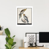 Edward Lears neuer Holland Parakeet Poster (Heimbüro)