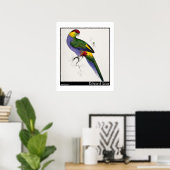 Edward Lears rot gekappte Parakeet-Männchen Poster (Heimbüro)