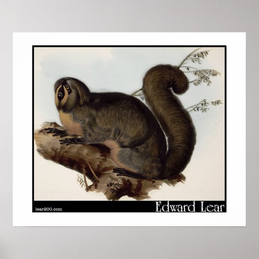 Edward Lears Whiskered Yarke Poster (Vorne)