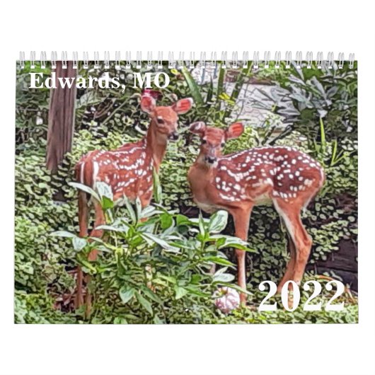 Edwards, MO 2022 Calendar Kalender (Titelbild)