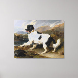 Edwin Henry Landseer Lion A Neufundland Hund Leinwanddruck