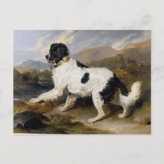Edwin Henry Landseer Lion A Newfundland Dog Postkarte (Vorderseite)