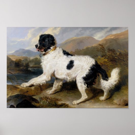Edwin Henry Landseer | Löwe - Ein Neufundland Poster (Vorne)
