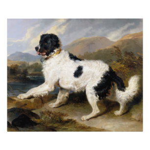 Edwin Henry Landseer Löwe - ein Neufundländer Fotodruck