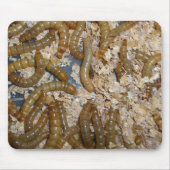 Eeewww… - Mousepad (Vorne)