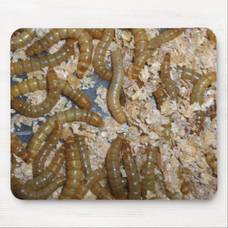 Eeewww… - Mousepad