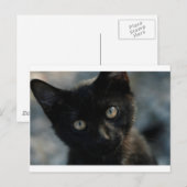 EEK Black Cat Beängstigend Postkarte (Vorne/Hinten)