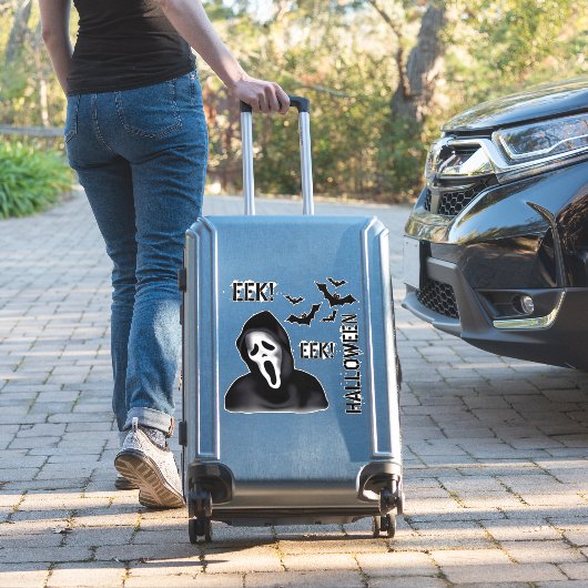 EEK & Echoes – Halloween Masked Ghost with Bats Aufkleber (Koffer Insitu)