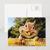 eekhoorn postkarte (Vorne/Hinten)