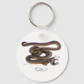 Eel, tony fernandes schlüsselanhänger (Vorderseite)