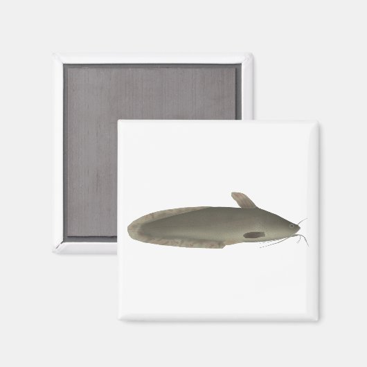 Eeltail Catfish Magnet (Vorderseite/Rückseite)