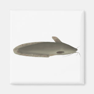 Eeltail Catfish Magnet