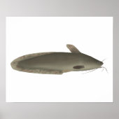 Eeltail Catfish Poster (Vorne)