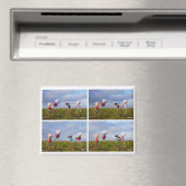 Een fubby Stripverhaal over de liefde. Magnet (In Situ (Geschirrspüler))