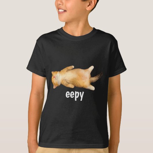 Eepy Cat Meme Funny Sleepy Cat Viral Gen Z Sarcast T-Shirt (Vorderseite)
