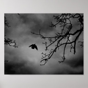 Eerie Bird im Flug Poster