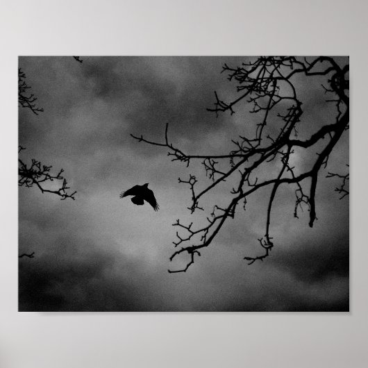 Eerie Bird im Flug Poster (Vorne)