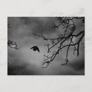 Eerie Bird im Flug Postkarte