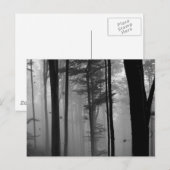 EERIE FOREST TREES BLÄTTER B&W POSTKARTE (Vorne/Hinten)