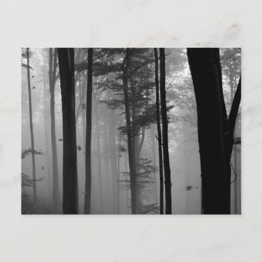 EERIE FOREST TREES BLÄTTER B&W POSTKARTE (Vorderseite)