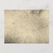 Eerie Mummy Cat Happy Halloween Postkarte (Rückseite)