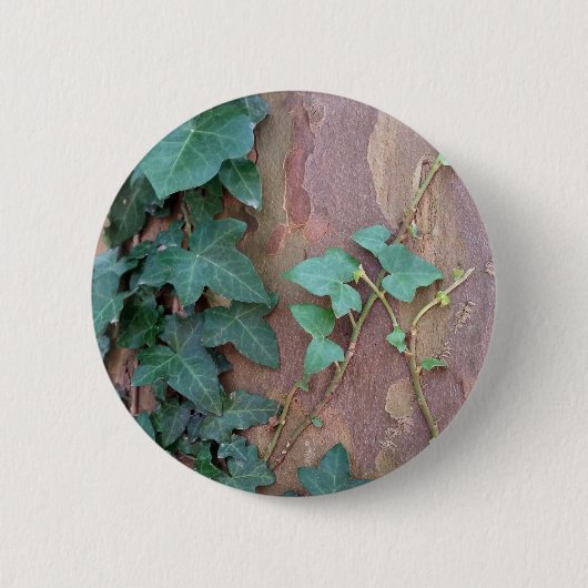 Efeu Button (Vorderseite)