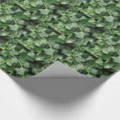 Efeu Geschenkpapier (Ecke)