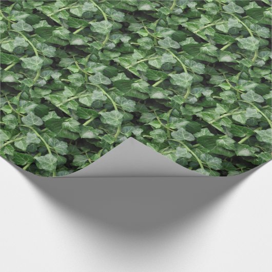 Efeu Geschenkpapier (Ecke)