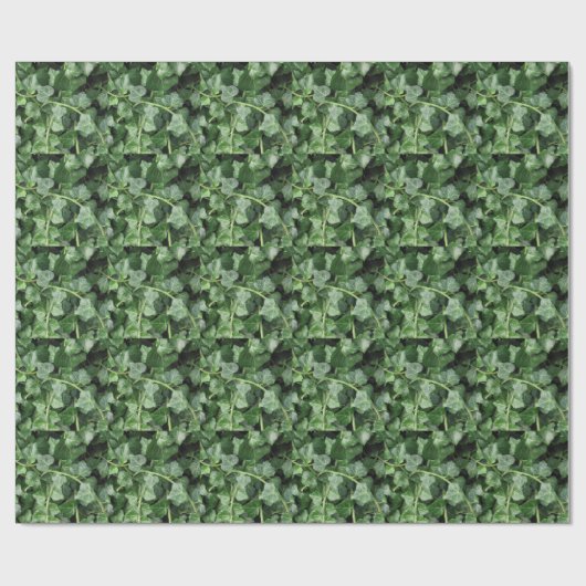 Efeu Geschenkpapier (Flach)