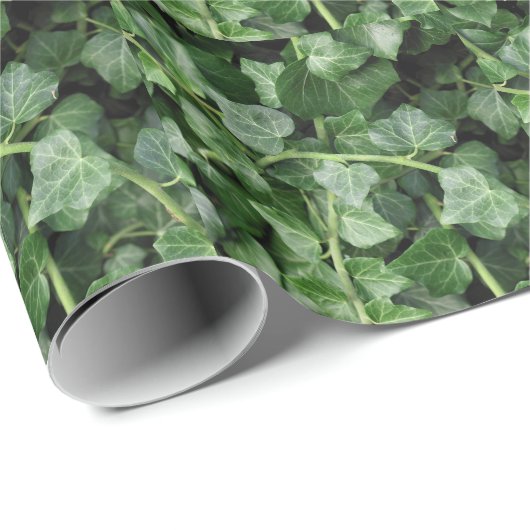 Efeu Geschenkpapier (Rolleneckpunkt)