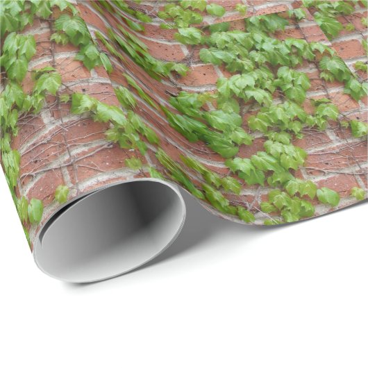 Efeu Geschenkpapier (Rolleneckpunkt)