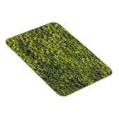 Efeu (Hedera helix) an der Hauswand Magnet (Rechte Seite)