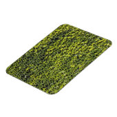 Efeu (Hedera helix) an der Hauswand Magnet (Linke Seite)