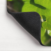 Efeu in der Sonne Mousepad (Ecke)
