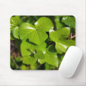 Efeu in der Sonne Mousepad (Mit Mouse)