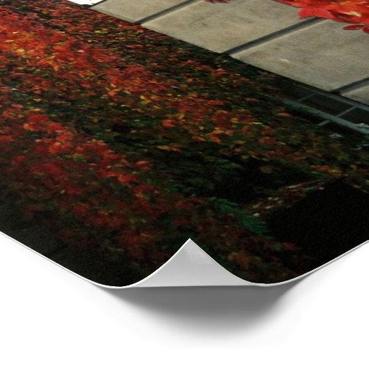 Efeu in London Poster (Ecke)