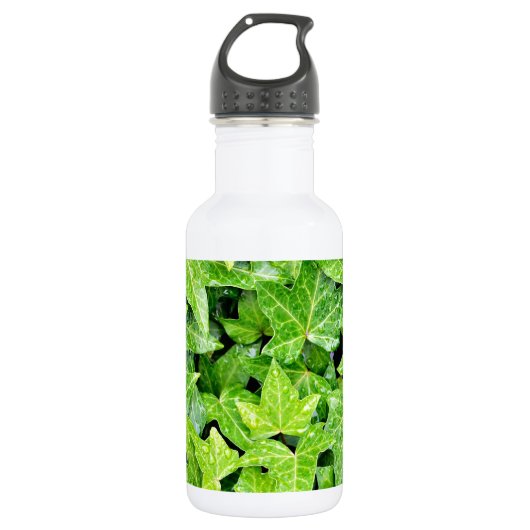 Efeu Laub Edelstahlflasche (Vorderseite)