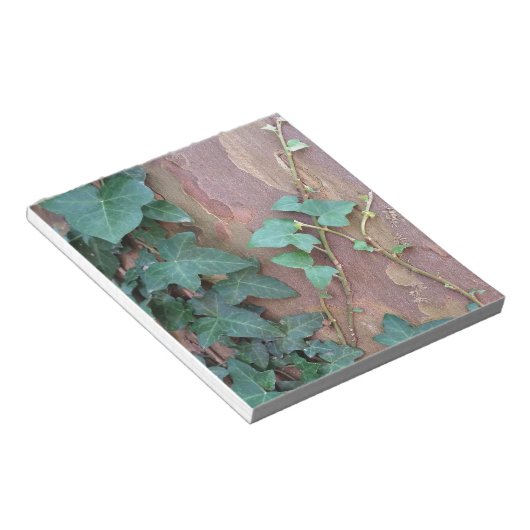 Efeu Notizblock (angewinkelt)