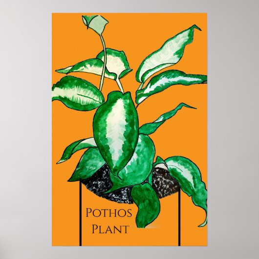 Efeu-Plant Poster (Vorne)