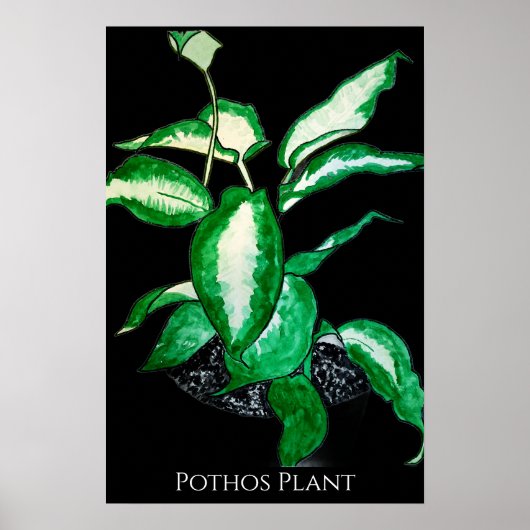 Efeu-Plant Poster (Vorne)